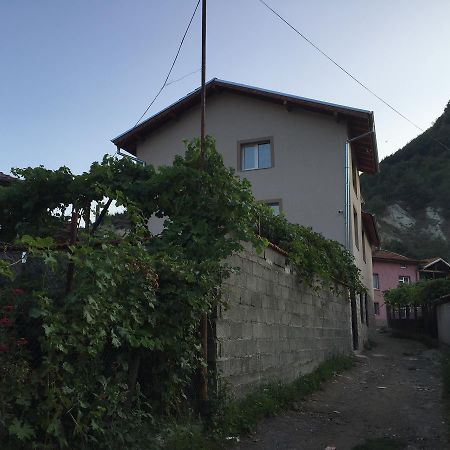Elenite Guesthouse Nevrekop Dış mekan fotoğraf